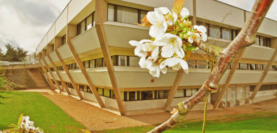 英国名校拉夫堡大学携专项奖学金来华招生