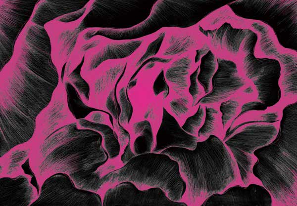 马里兰艺术学院插画专业作品欣赏 马里兰艺术学院插画专业作品欣赏