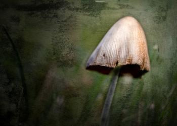 纽约视觉艺术学院纯艺术专业介绍 纽约视觉艺术学院纯艺术专业介绍