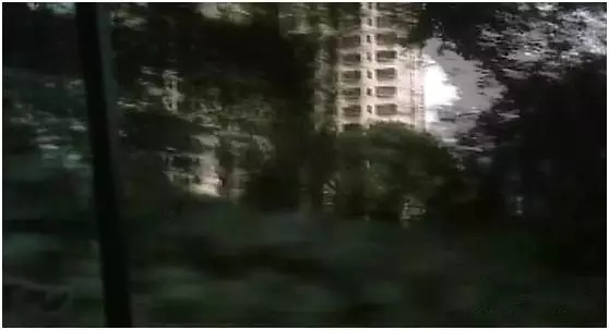 电影·说 | 从电影中发现导演的秘密，这样拉片才