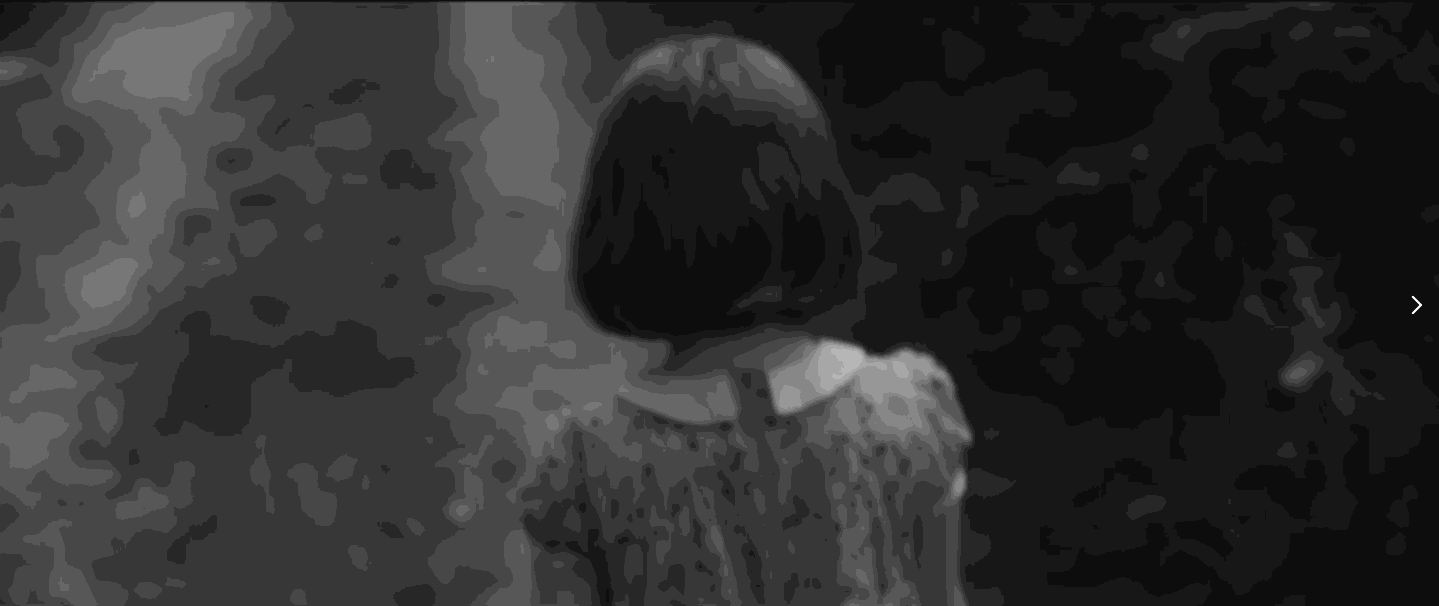 电影·说|这部IMDB评分8.4,小成本悬疑短片,告诉你什么短片类型最受DreamSchool青睐